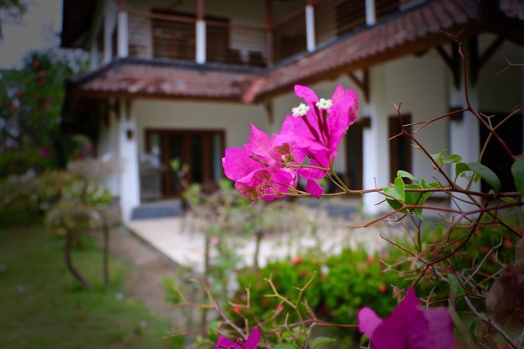 3 Bedroom Private House Gili Trawangan Eksteriør bilde